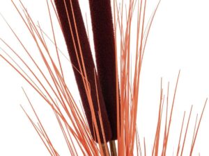 EUROPALMS Schilfgras mit Kolben, künstlich, hellbraun, 152cm