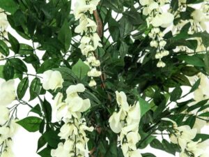 EUROPALMS Goldregenbaum, Kunstpflanze, weiß, 150cm