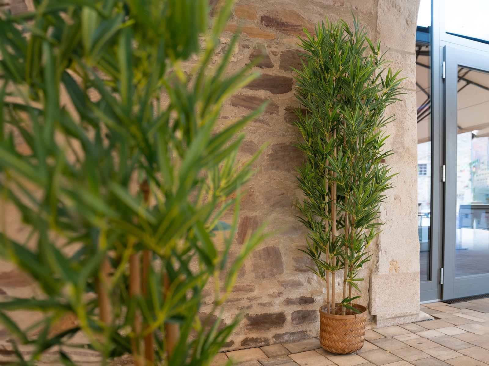 EUROPALMS Bambus deluxe, Kunstpflanze, 120cm