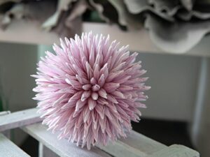 EUROPALMS Sukkulenten Kugel (EVA), Kunstpflanze, rosa, 20cm