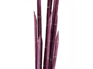 EUROPALMS Magic Zwiebelrohr, künstlich, rosa, 134cm