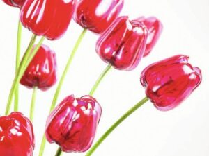 EUROPALMS Kristalltulpe, Kunstblume, rot, 61cm 12x