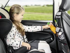 reer TravelKid Tidy Autorücksitz-Organizer