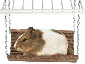 Karlie RODY SWING Nagerschaukel - S