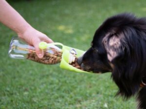 PROCYON Leckerli Flasche Travel Feeder Reisenapf