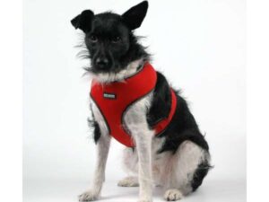 Pet-Star Softgeschirr / Netzgeschirr - Rot - XL