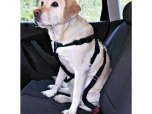 Trixie Auto-Sicherheitsgeschirr - L