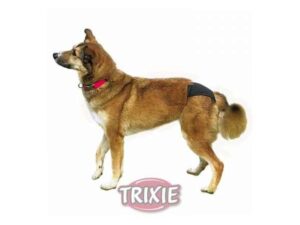 Trixie Wechseleinlagen für Schutzhöschen - 10 Stück - M