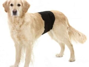 Karlie Flamingo Gentleman Wraps Plus - 49 x 14 cm