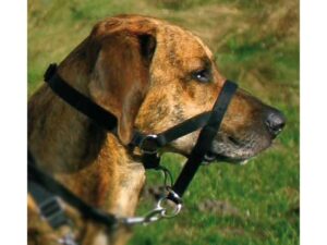 Trixie Top Trainer Ausbildungsgeschirr - max. 46 cm