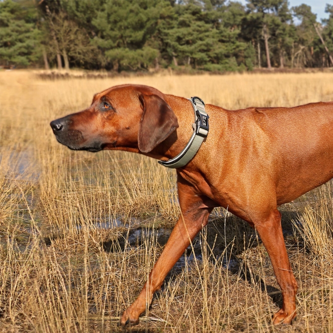 Duvoplus EXPLOR Ultimate Fit Comfy Halsband Classic - Undercover Green - L - 45-51cm – Bild 5