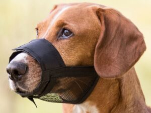 Trixie Maulkorb mit Netzeinsatz - XS–S/15–20 cm