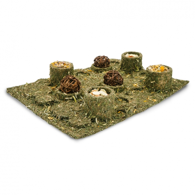 JR FARM Back to Instinct XXL Fun-Park – Bild 5