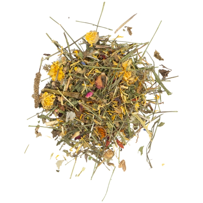 JR Farm Kräuter-Traum im Eimer 380g – Bild 3