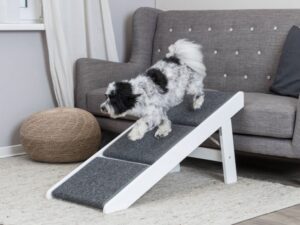 Trixie Rampe mit ausklappbaren Stufen