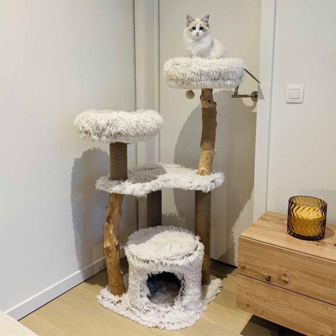 EBI Kratzbaum Marseille – Bild 3