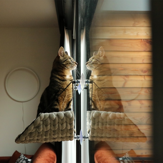 D&D Fensterbett Sofia - Hellgrau – Bild 3