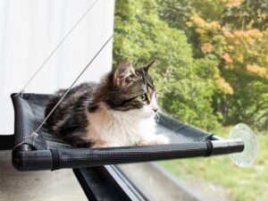 Duvoplus Fensterhängematte - schwarz