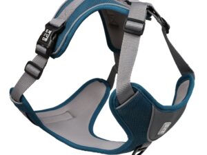 Duvoplus EXPLOR Ultimate Fit No-Pull-Geschirr - petrol blue - M - 40-49cm - 49-65cm