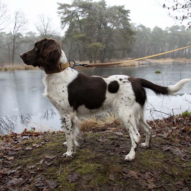 Duvoplus EXPLOR Ultimate Fit Control Halsband Classic - honey gold - S - 34-38cm – Bild 4