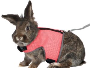 Trixie Softgeschirr für große Kaninchen