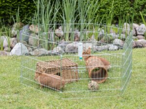 Trixie Freilaufgehege, 6 Elemente, 60 x 63 cm, verzinkt