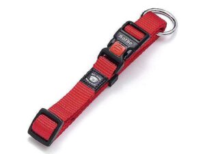 Karlie ASP Halsband verstellbar - Rot - 10 mm, 20-35 cm