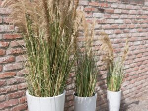 EUROPALMS Chinaschilf Gracillimus, künstlich, 110cm