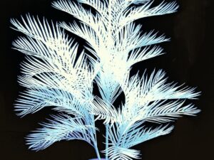 EUROPALMS Kentiapalme, künstlich, uv-weiß, 170cm