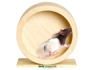 Karlie Holz-Laufrad BOGIE WHEEL - 20 cm