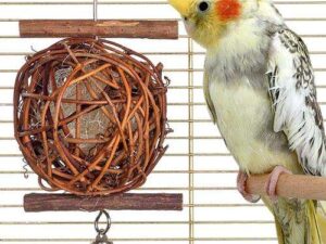 Karlie Wooden Bird Ball - 5 cm