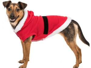 Trixie Hundemantel Santa - S