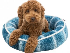 Trixie Xmas Bett Lumi - petrol/weiß