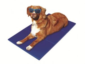 Pet-Star Kühlmatte - 110 x 70 cm