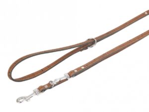 Karlie Führleine Cork - Kastanie - 200cm / 18mm