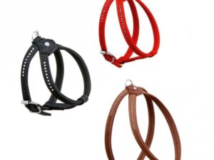 Karlie Buffalo Strass Geschirr - Schwarz - 10 mm / 20-27 cm