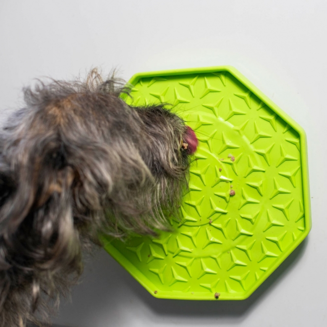 PROCYON Ladi Mat Schleckplatte Wobbler – Bild 4