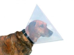 Trixie Schutzkragen aus Kunststoff - S: ø 28-33 cm/12 cm