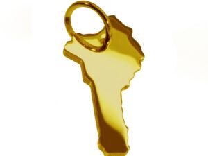 Anhänger der Landkarte Benin in massiv 333 Gelbgold