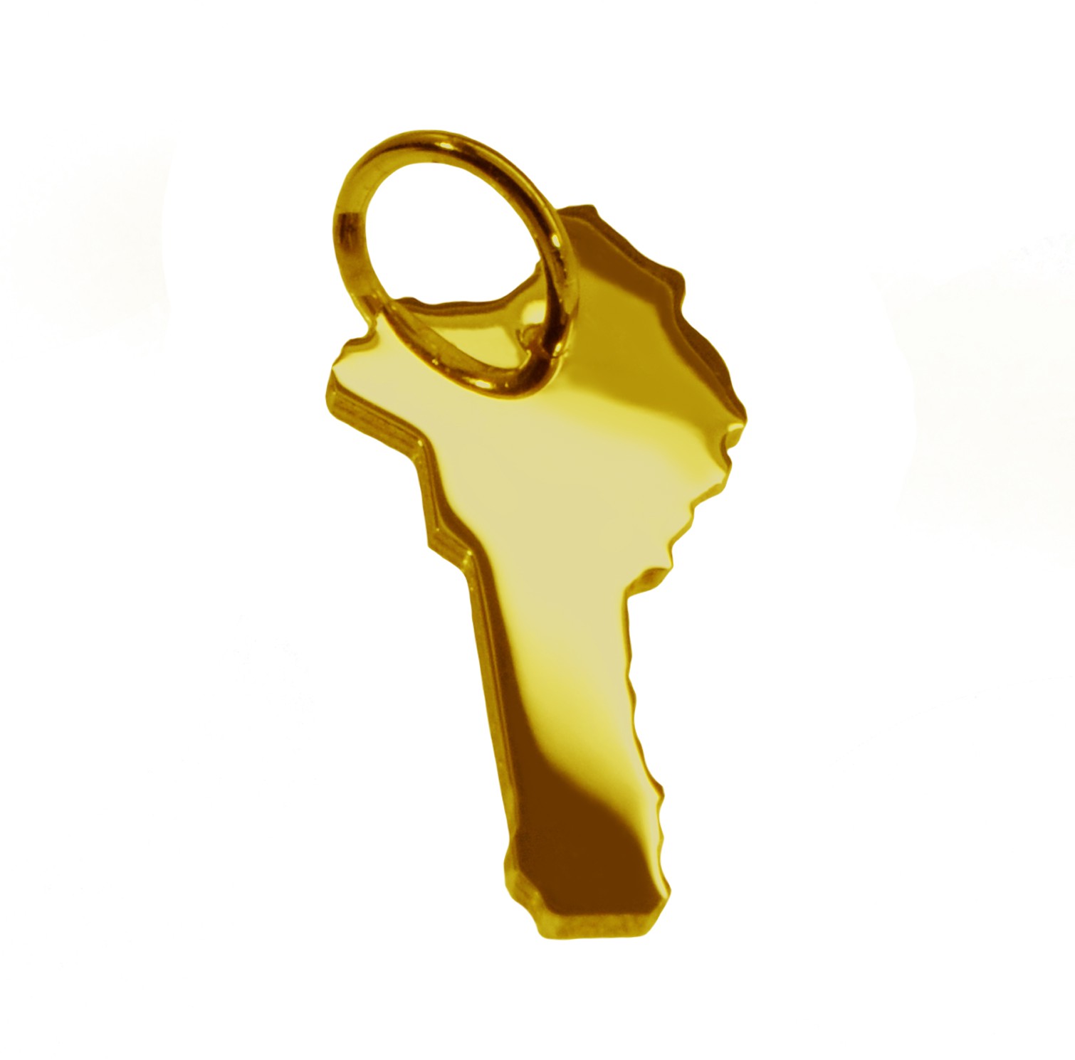 Anhänger der Landkarte Benin in massiv 585 Gelbgold