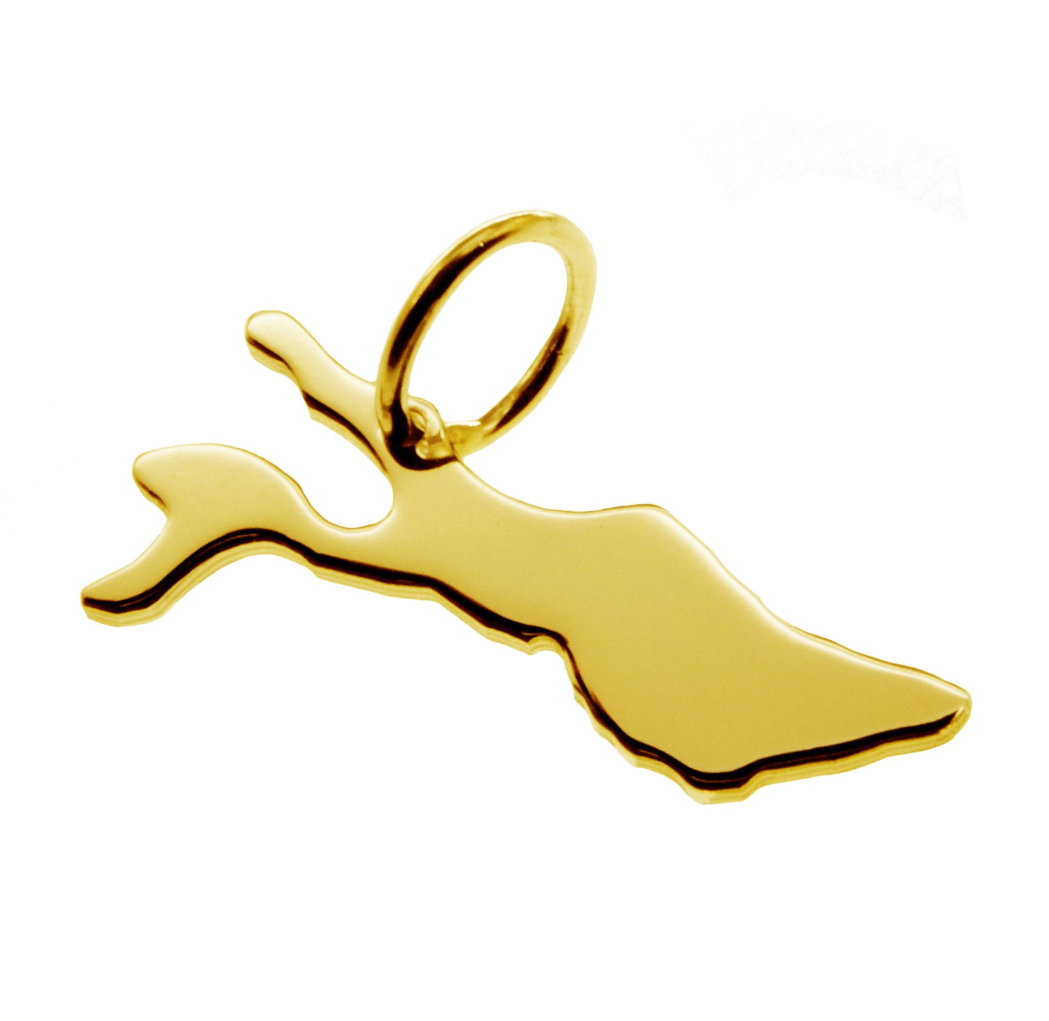 Anhänger der Landkarte Bodensee in massiv 333 Gelbgold