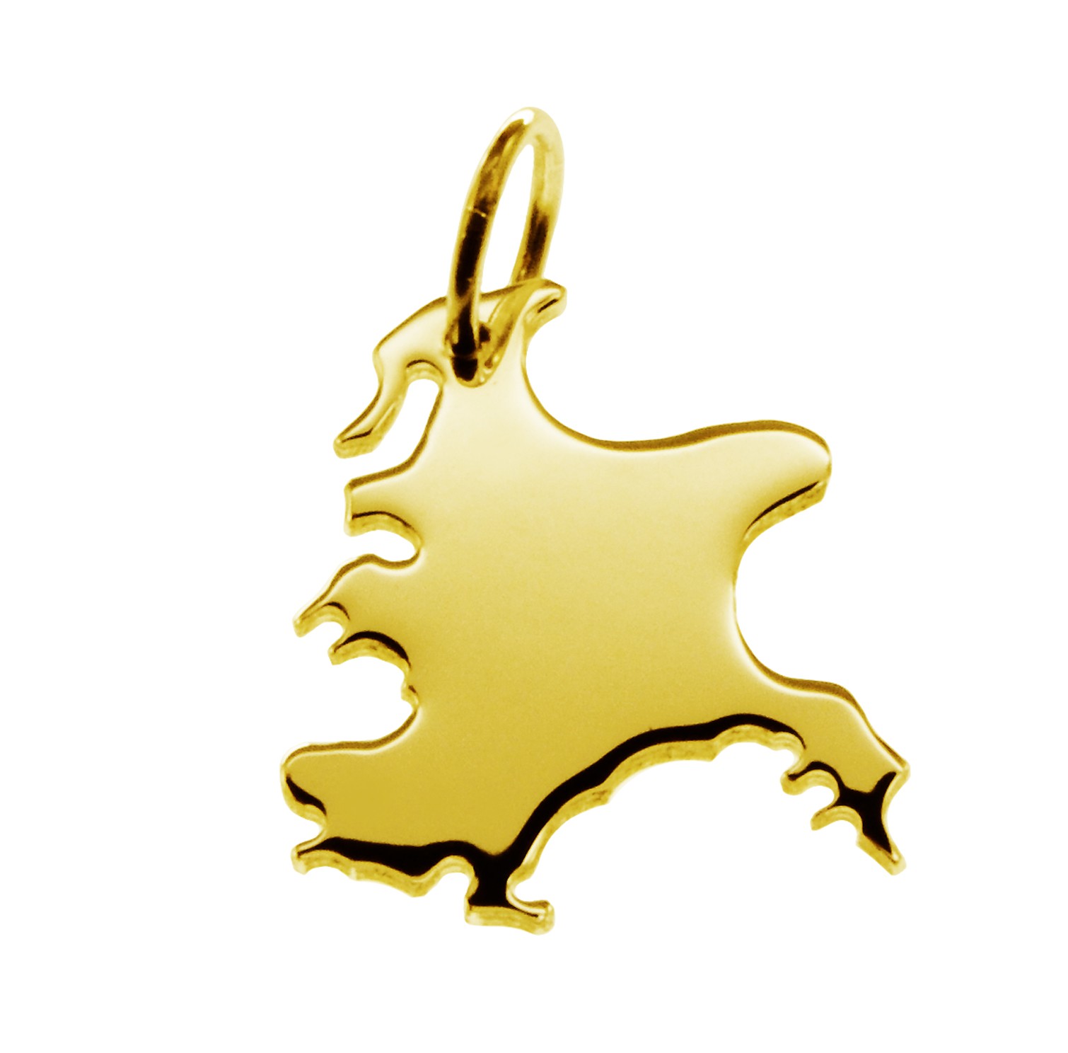 Anhänger der Landkarte Rügen in massiv 333 Gelbgold
